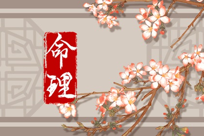 紫微算命姓名配对_紫微看近期运势_紫薇文墨天机排盘_紫微星转世_星尘算命紫微斗数_命主命盘测算