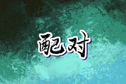 属相婚配：民俗辅助视角